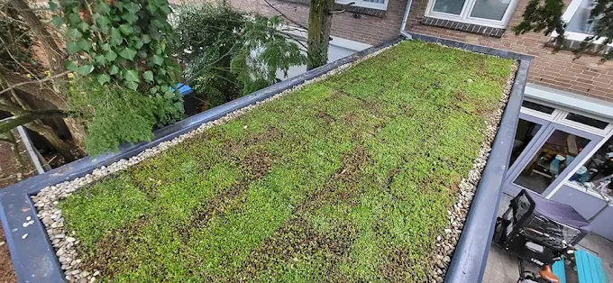 Dakconstructie beoordelen voor het draagvermogen van een groendak